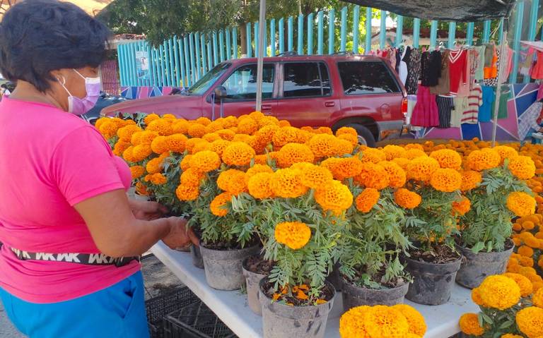 Día de Muertos, cada vez más vivo con la flor de cempasúchil - El Sol de  Acapulco | Noticias Locales, Policiacas, sobre México, Guerrero y el Mundo