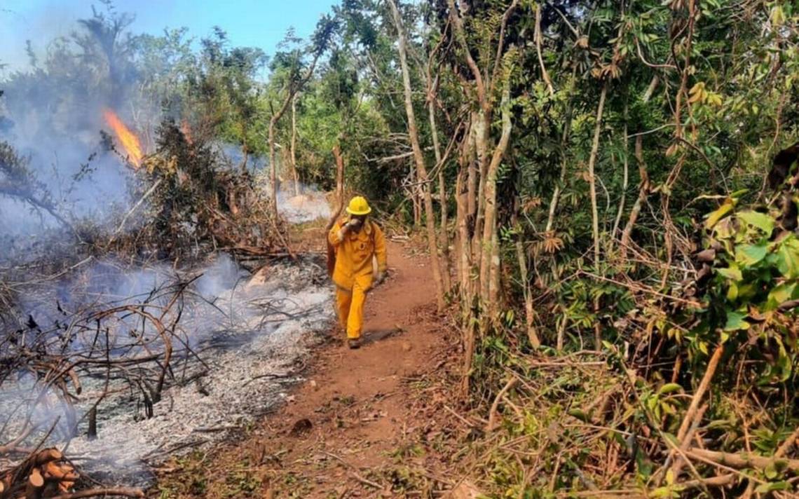 40 incendios forestales consumen vegetación en Guerrero: PC – El Sol de Acapulco